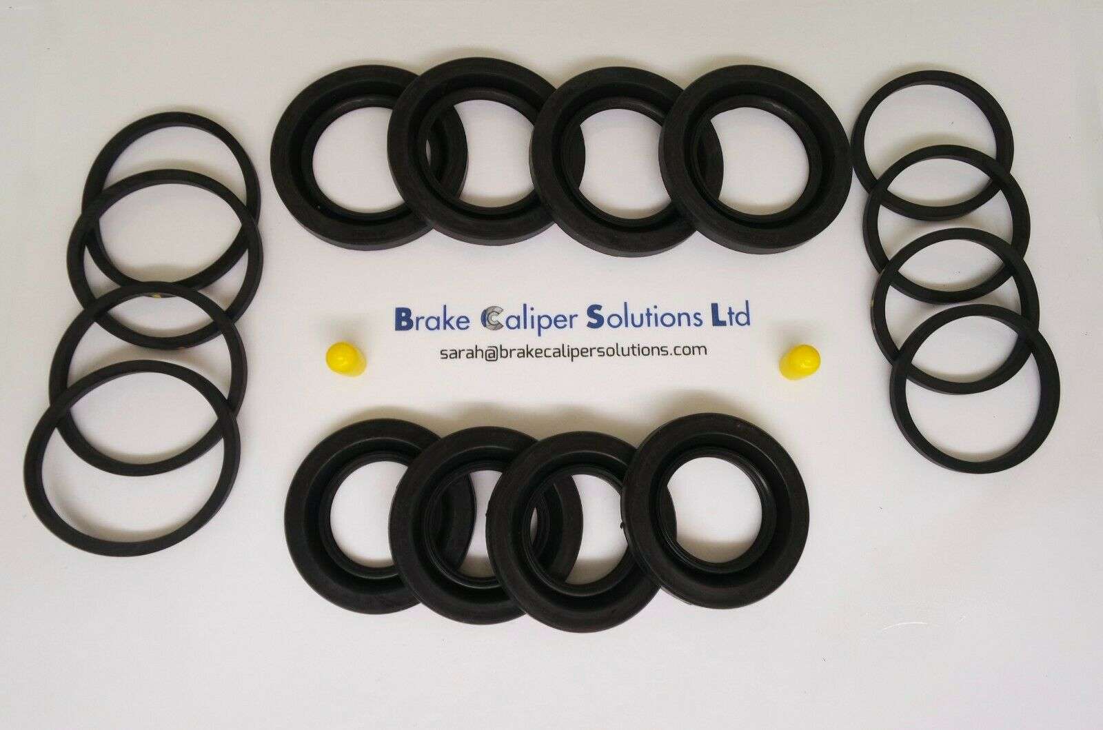 Renault Scenic 2003 - 2016 Rear Brake Caliper Seal Repair Kit BSK3425S