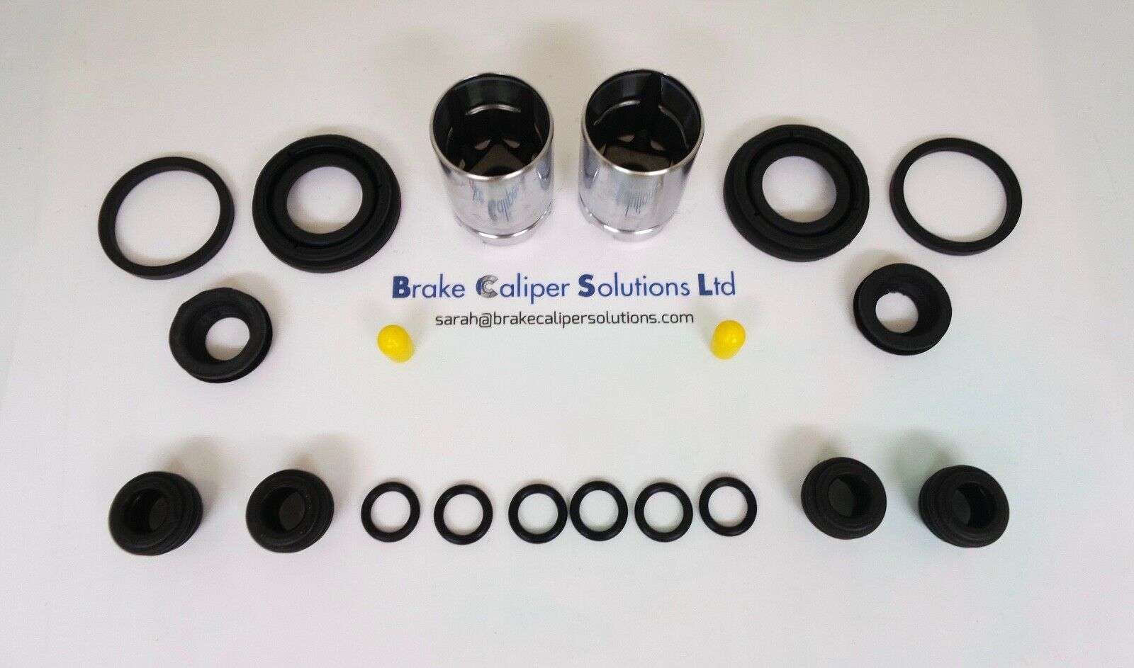 Rover 25 &amp; 45 1999-2005 Rear Brake Caliper AXLE Seal &amp; Piston Repair Kit