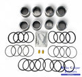FRONT L & R Brake Caliper Repair Kit +Pistons for LDV CONVOY 1996-2009 BCKP25